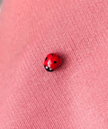 Pin "catarina"